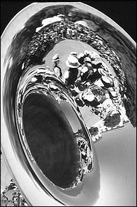 Reflection in Tuba