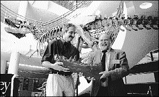 Photo: T.rex jawbone