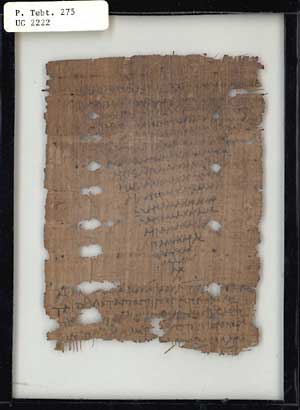 papyrus 