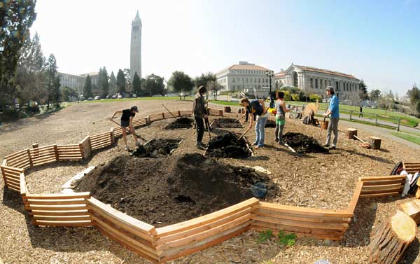 Planting the victory garden