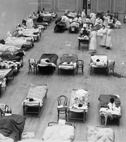 1918-20 influenza pandemic
