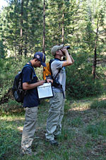 Bird researchers conducting a point count in the field