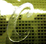 Photo of an artificial skin made of nanowires. The e-skin was able to accurately sense the shape of the Cal "C" placed on top.