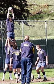 Cal rugby: college sports' most dominant team