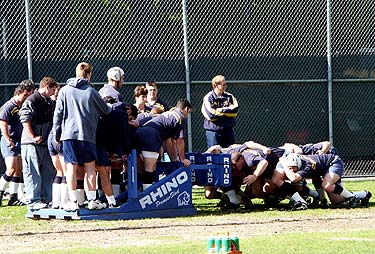 Cal rugby: college sports' most dominant team