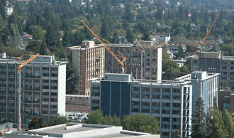 Cranes at Units 1 & 2