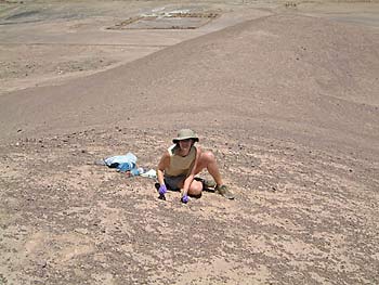 Graduate student Alison Skelley at the Rock Garden in Chile's Atacama desert