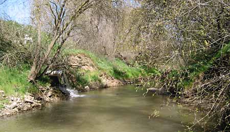 pipe discharging field runoff into Orestimba Creek