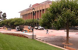 Grass replaces junipers in front of Sproul Hall