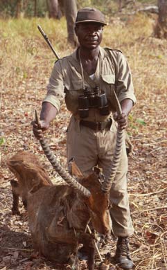 Ghanian ranger with waterbuck antelope