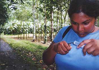 Volunteer feeds a hummingbird