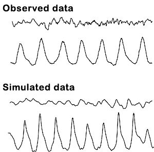 Comparison of an observed electrocorticogram and simulated data from a mathematical model