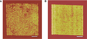 Comparative images of nanowire arrays