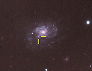 supernova 2003jd