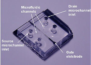 Nanofluidic transistor