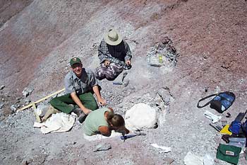 Revueltosaurus quarry excavation