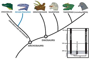 evolutionary tree of dinosaurs and crocodiles