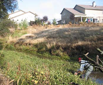 Collecting water and sediments in Pleasant Grove Creek