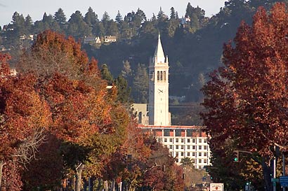 Telegraph Avenue in the fall