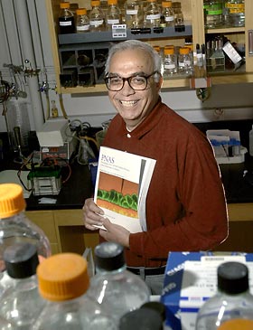 Nicholas COzzarelli in his lab