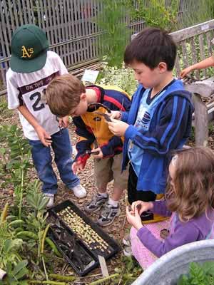 Kids conduct experiments in the garden