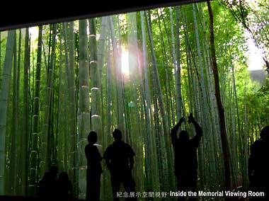Light filtering through bamboo in memorial design