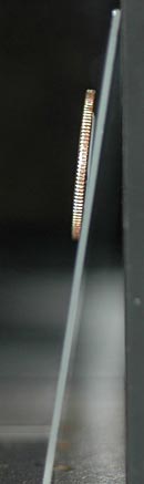 side view of quarter held on glass slide by synthetic fibers