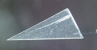 Comet dust embedded in aerogel