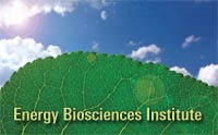 Energy Biosciences Institute