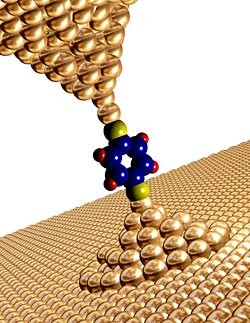 Graphic of a molecule trapped between two gold surfaces