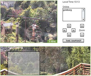 web interface for CONE Sutro Forest
