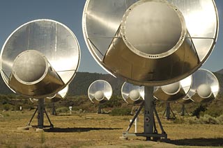 Allen Telescope Array dishes