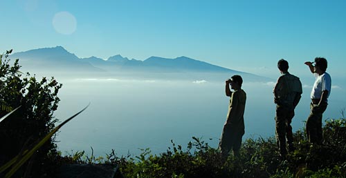 Botanists look out from Moorea