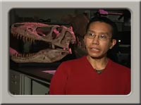 Video discussing dinosaurs