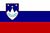 slovenian flag