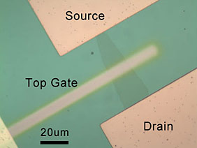 bilayer graphene device viewed through an optical microscope