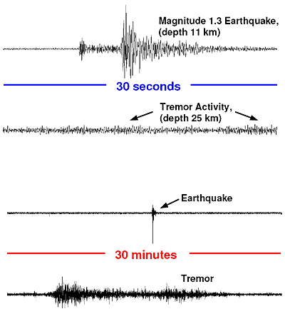Comparison of earthquake and tremor activity