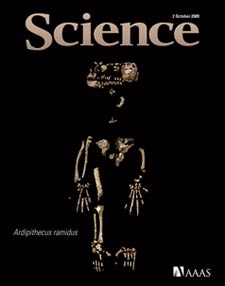 Ardi on the cover of Science magazine