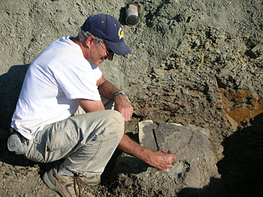 Mark Goodwin collects a dinosaur skull