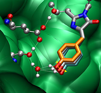 diagram of green fluorescent protein