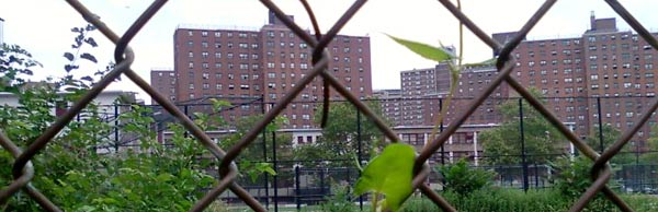 Public housing project in the South Bronx